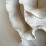 Sea Lace Wall Sculpture