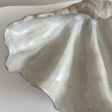 Ceramic Clam Shell #16 Smooth