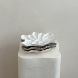 The Cove Oyster Platter Haze Gloss/White