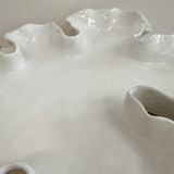 On The Rocks Oyster Platter Tide