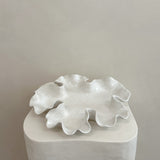 On The Rocks Oyster Platter Ripple