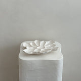 The Cove Oyster Platter Petal Gloss/White