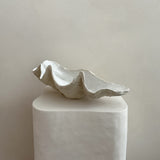 Ceramic Clam Shell #7 Textured