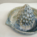 Lemon Juicer Blue/Green