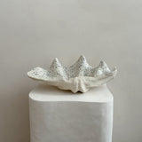 Ceramic Clam Shell #11 Smooth