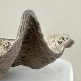 Ceramic Clam Shell #8 Textured