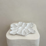 Harbour Oyster Platter Gloss White Dozen