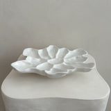 The Cove Oyster Platter White Gloss/White
