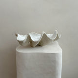 Ceramic Clam Shell #7 Textured