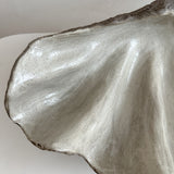 Ceramic Clam Shell #9 Textured