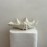 Ceramic Clam Shell #5 Textured