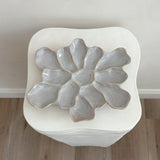 The Cove Oyster Platter Haze Gloss/White