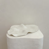 Rock Pool Platter #6