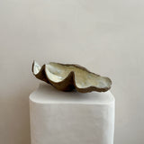 Ceramic Clam Shell #2 Textured