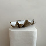 Ceramic Clam Shell #3 Textured