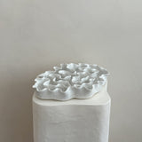 Sculpture Oyster Platter 117 White Gloss/White