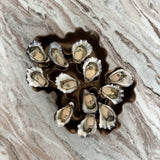 Sculpture Oyster Platter Bronze/Gold Ombre