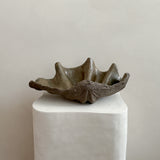 Ceramic Clam Shell #1 Textured