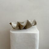 Ceramic Clam Shell #16 Smooth