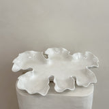 On The Rocks Oyster Platter Tide