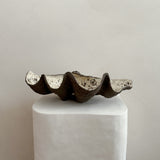 Ceramic Clam Shell #8 Textured