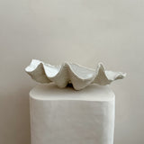 Ceramic Clam Shell #7 Textured