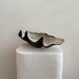 Ceramic Clam Shell #9 Textured