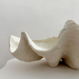 Ceramic Clam Shell #5 Textured