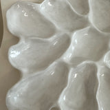 Harbour Oyster Platter Gloss White Dozen