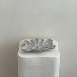 The Cove Oyster Platter Haze Gloss/White