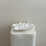 The Cove Oyster Platter White Gloss/White