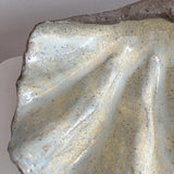 Ceramic Clam Shell #2 Textured