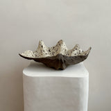 Ceramic Clam Shell #8 Textured