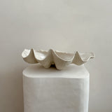 Ceramic Clam Shell #12 Smooth