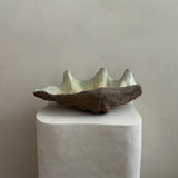 Ceramic Clam Shell #2 Textured
