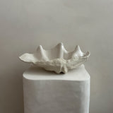 Ceramic Clam Shell #12 Smooth