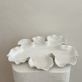 On The Rocks Oyster Platter Tide