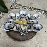 Elevated Harbour Oyster Platter Gloss White Dozen