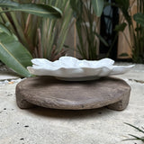 Elevated Harbour Oyster Platter Gloss White Dozen