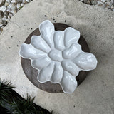 Elevated Harbour Oyster Platter Gloss White Dozen