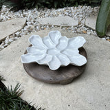 Elevated Harbour Oyster Platter Gloss White Dozen