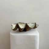 Ceramic Clam Shell #2 Textured