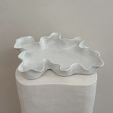 Ceramic On Ice Oyster Platter Workshop