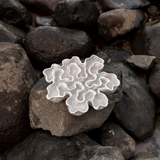 Sculpture #69 Textured White Sculpture Oyster Platter