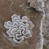 Sculpture #69 Textured White Sculpture Oyster Platter